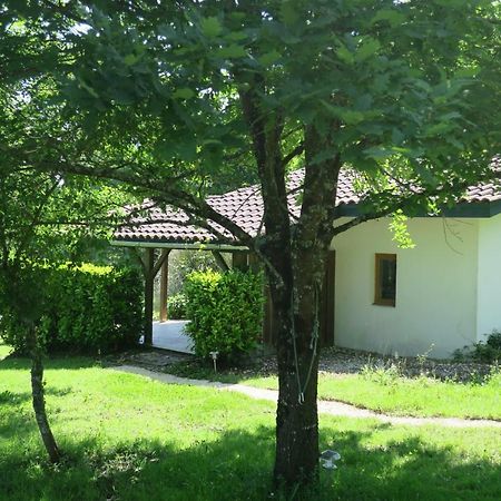 Le Verger Gites Castelnau D'Auzan Exterior photo